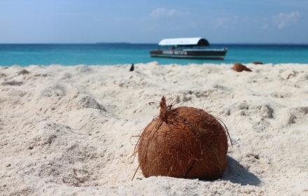 Offerte Zanzibar Autunno