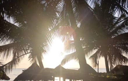 WhatsApp Image 2024 10 31 at 12.03.57 PM 1 2 -