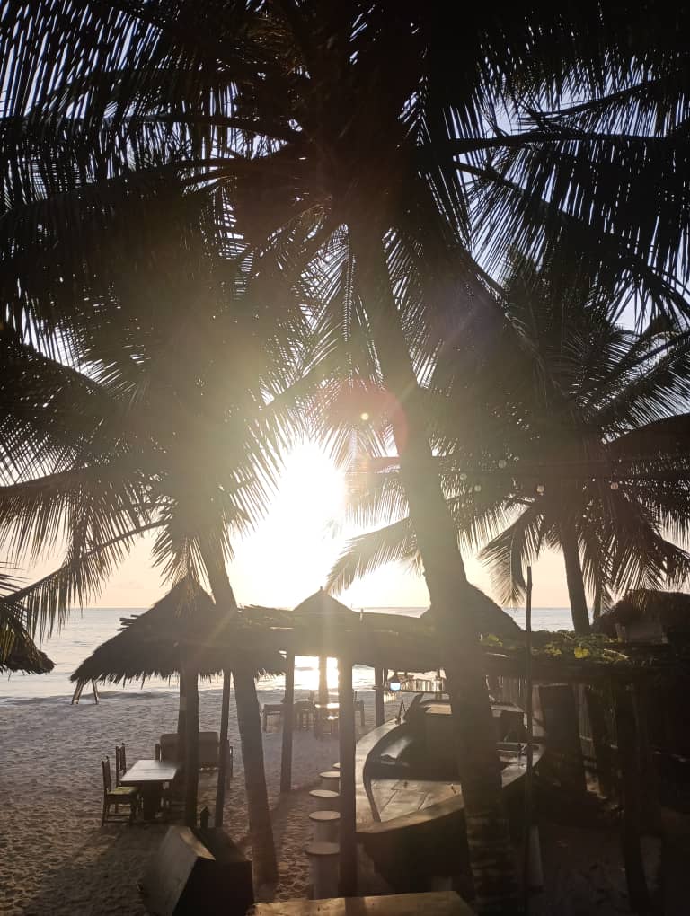 WhatsApp Image 2024 10 31 at 12.03.57 PM 1 -